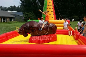 Mechanical Rodeo Bull