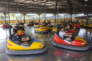 Skynet Bumper Car