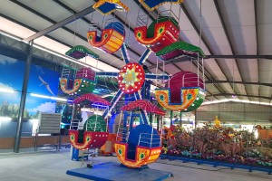 12 Seats Mini Ferris Wheel