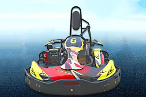 Adult Gas Type Go Karts