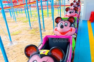 Mouse Roller Coaster